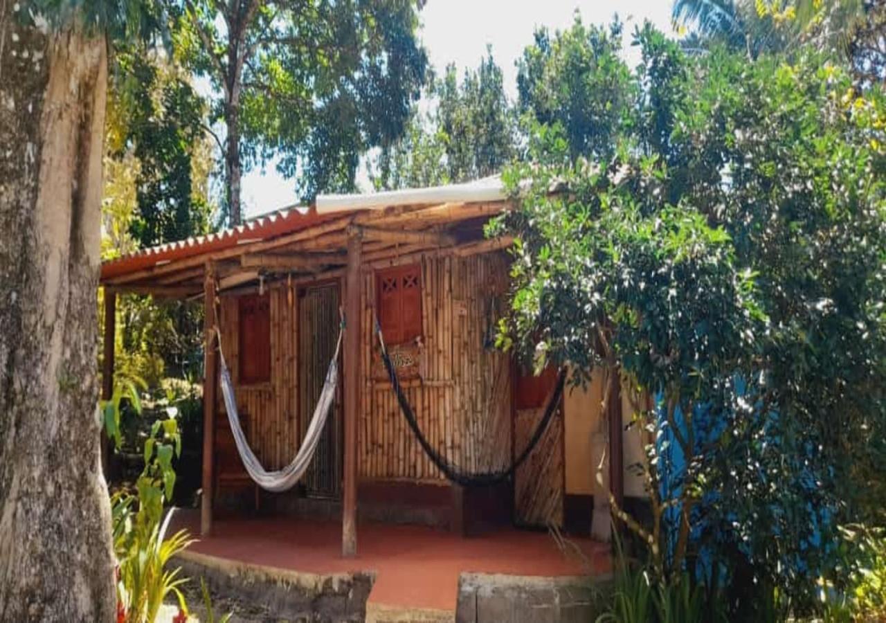 Hostal Familiar El Angel Panama B&B Pajonal Arriba エクステリア 写真