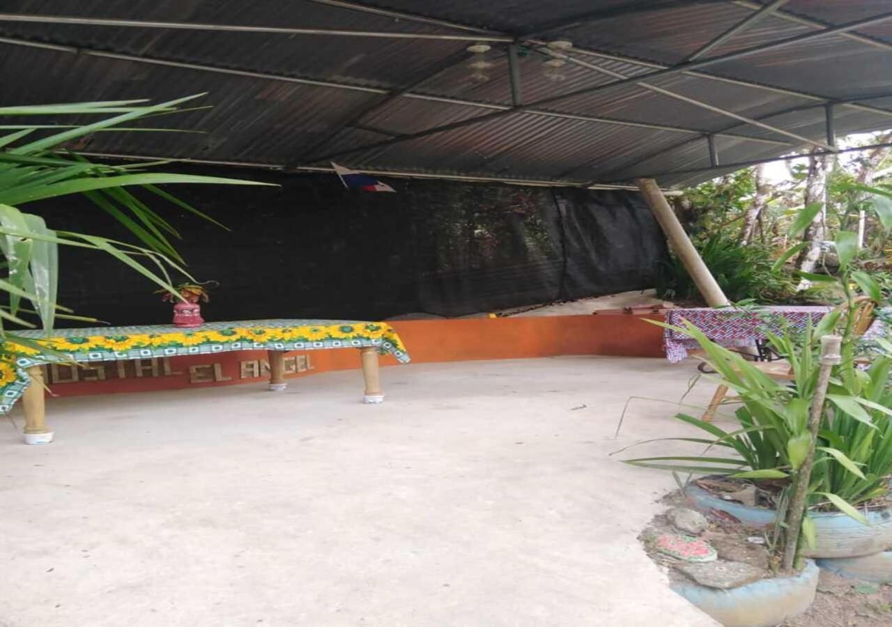 Hostal Familiar El Angel Panama B&B Pajonal Arriba エクステリア 写真