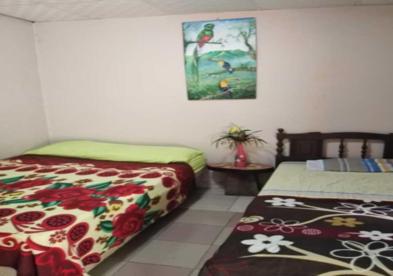 Hostal Familiar El Angel Panama B&B Pajonal Arriba エクステリア 写真