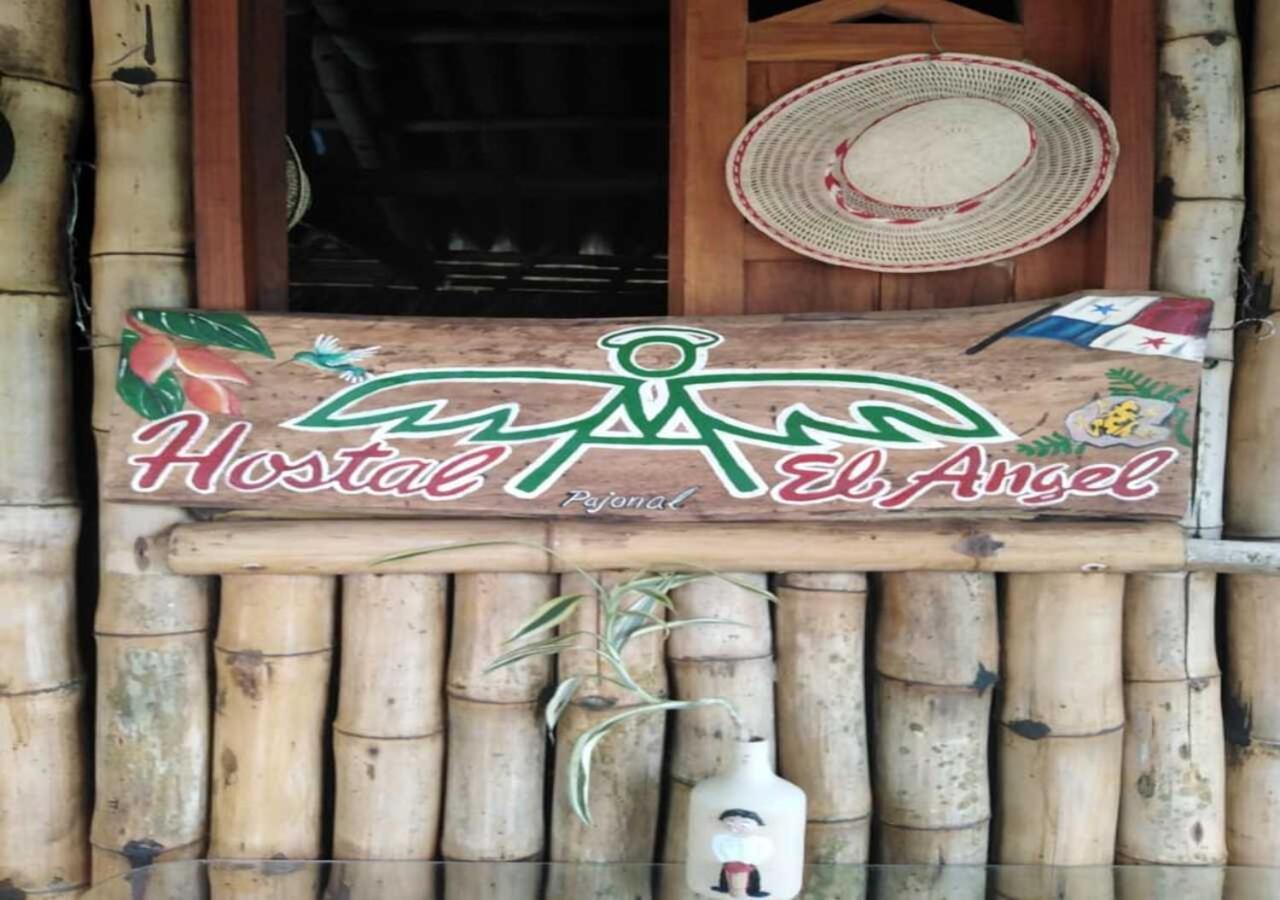 Hostal Familiar El Angel Panama B&B Pajonal Arriba エクステリア 写真