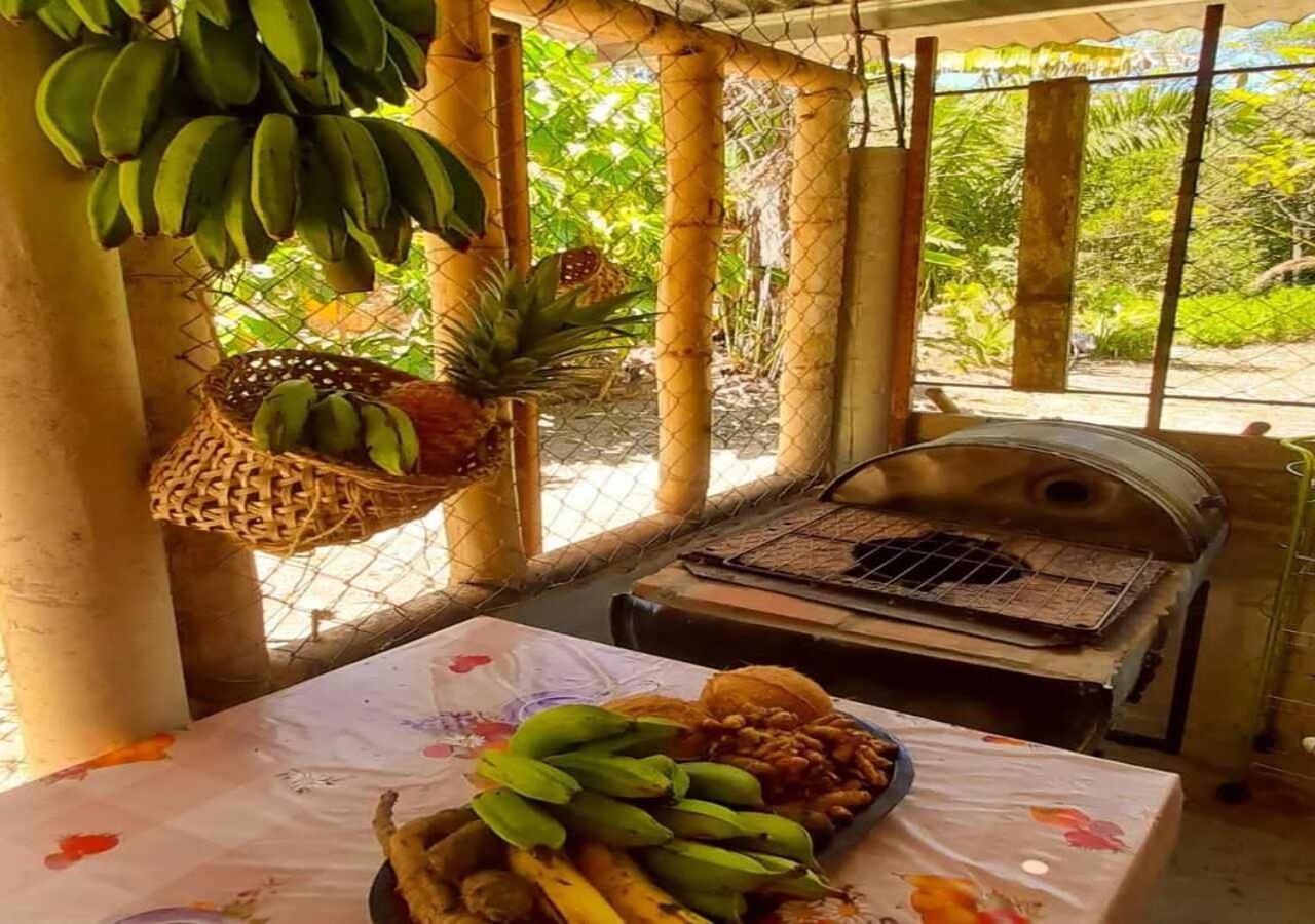 Hostal Familiar El Angel Panama B&B Pajonal Arriba エクステリア 写真