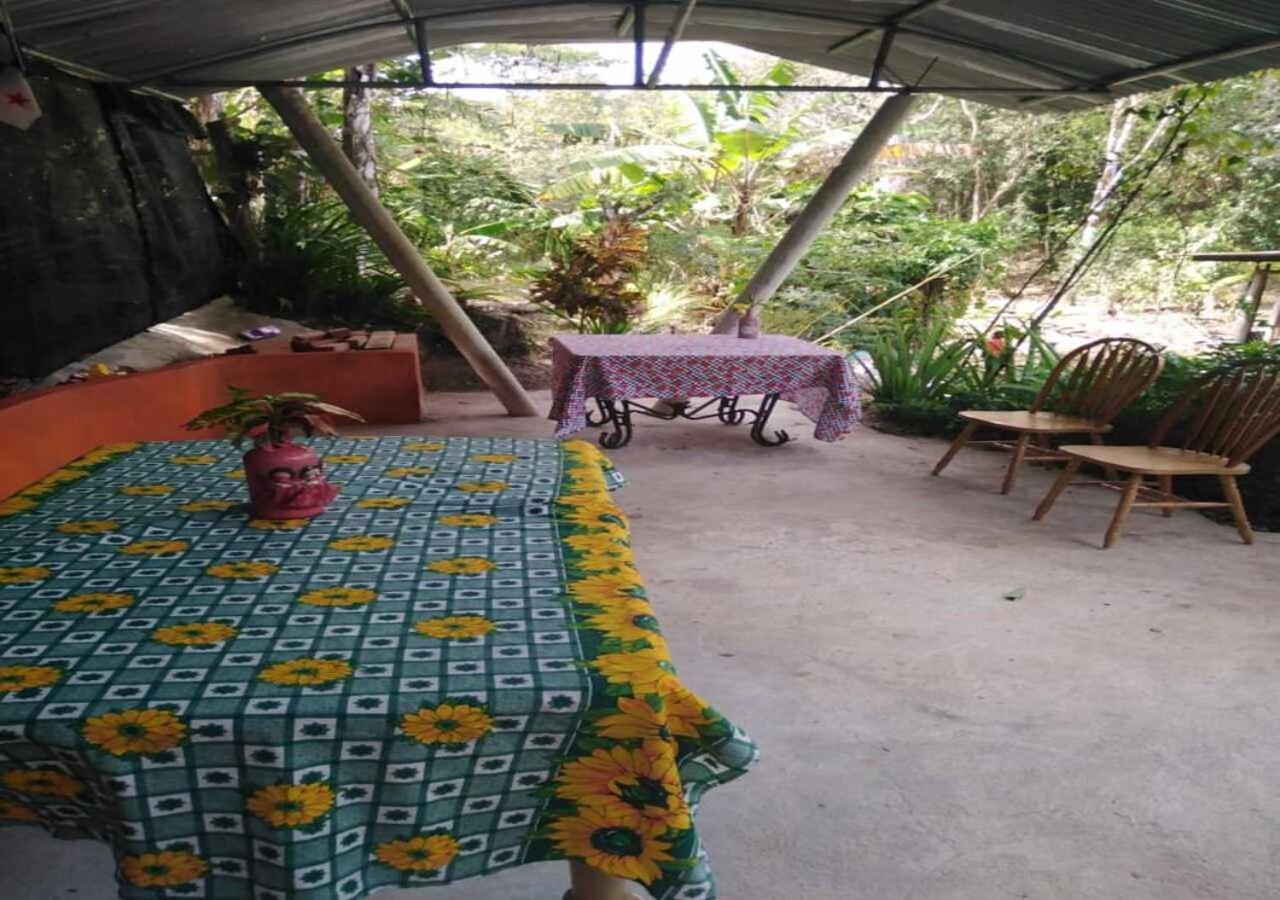 Hostal Familiar El Angel Panama B&B Pajonal Arriba エクステリア 写真