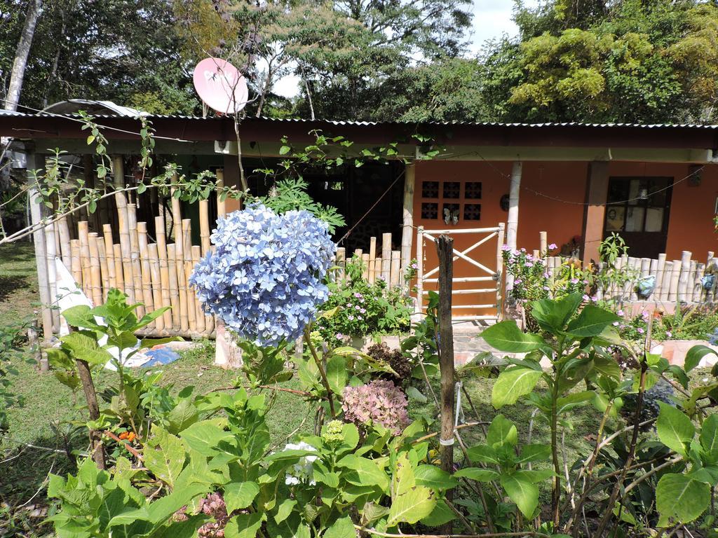 Hostal Familiar El Angel Panama B&B Pajonal Arriba エクステリア 写真