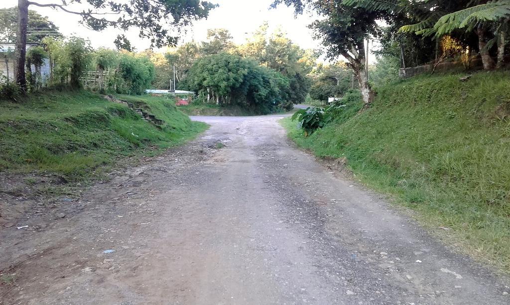 Hostal Familiar El Angel Panama B&B Pajonal Arriba エクステリア 写真