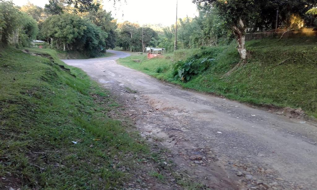 Hostal Familiar El Angel Panama B&B Pajonal Arriba エクステリア 写真