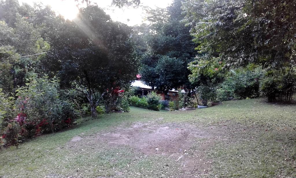 Hostal Familiar El Angel Panama B&B Pajonal Arriba エクステリア 写真