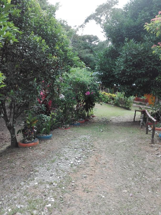 Hostal Familiar El Angel Panama B&B Pajonal Arriba エクステリア 写真