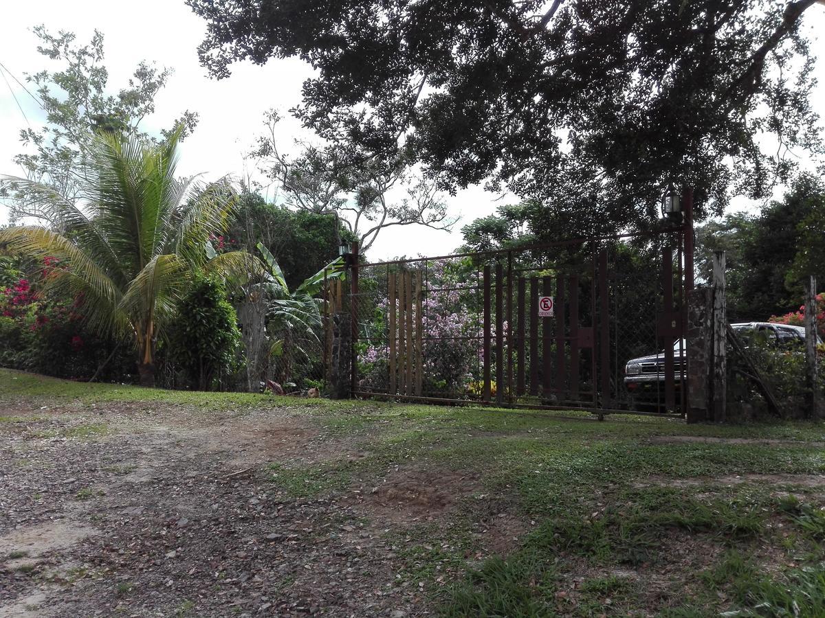 Hostal Familiar El Angel Panama B&B Pajonal Arriba エクステリア 写真